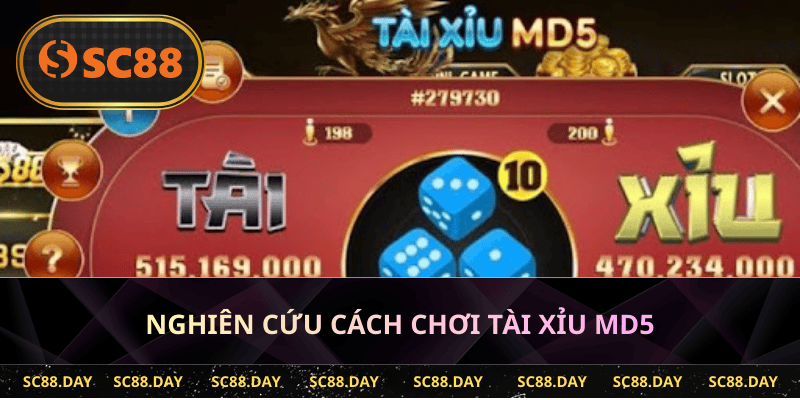 Nghiên cứu cách chơi tài xỉu MD5